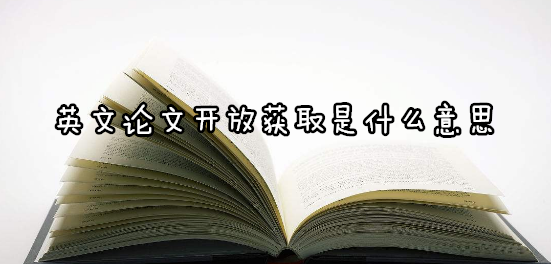 英文论文开放获取是什么意思